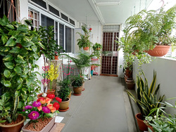 Blk 603 Hougang Avenue 4 (Hougang), HDB 4 Rooms #602186011